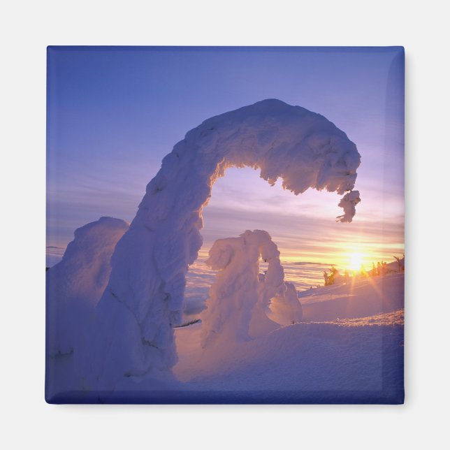 Íman Fantasmas de neve na faixa branca de Montana (Frente)