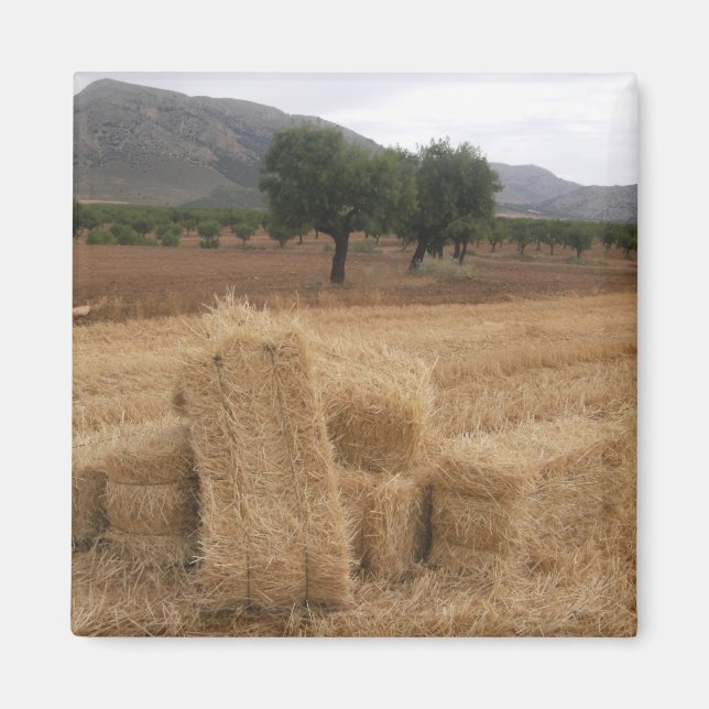 Íman Fardos de Palha & Amendoeiras (Frente)