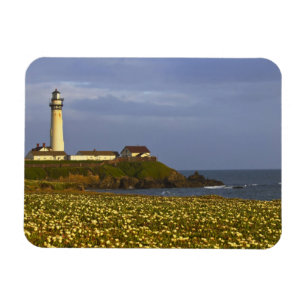 Íman Farol em Pigeon Point State Beach em San