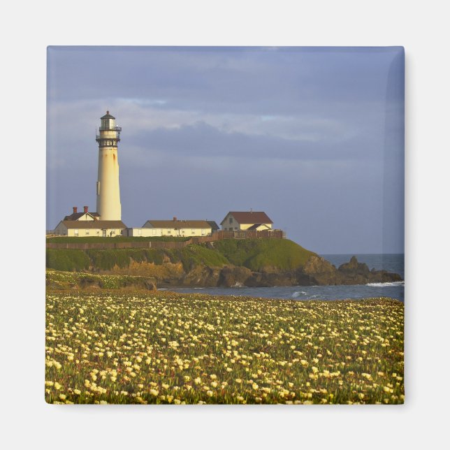 Íman Farol em Pigeon Point State Beach em San (Frente)