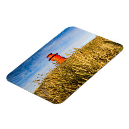 Íman Farol em Stykholmur, Islândia