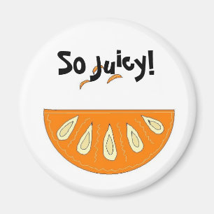 Íman Fatia de Laranja Suculenta