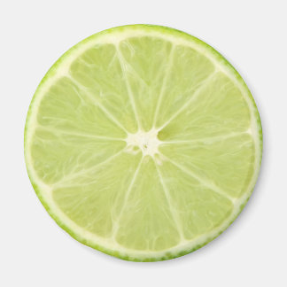 Íman Fatia Fresca de Fruta de limão