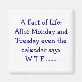 Íman Fato da vida - ímã