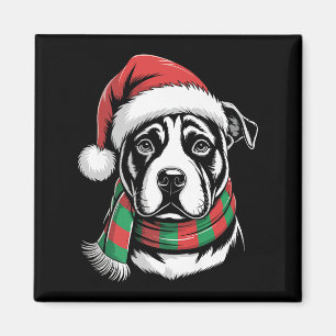 Íman Fato de Natal para Cachorro Pitbull com Chapéu e C