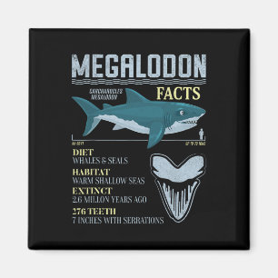 Íman Fatos sobre Megalodon Dente Fóssil de Tubarão Pré-
