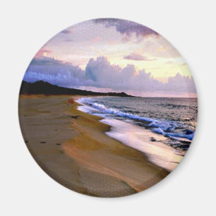 Íman Favor do casamento do ímã da cena da praia