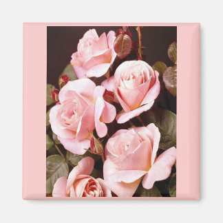 Íman Favoritos do chá de panela