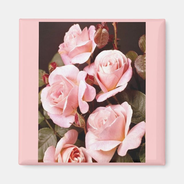 Íman Favoritos do chá de panela (Frente)