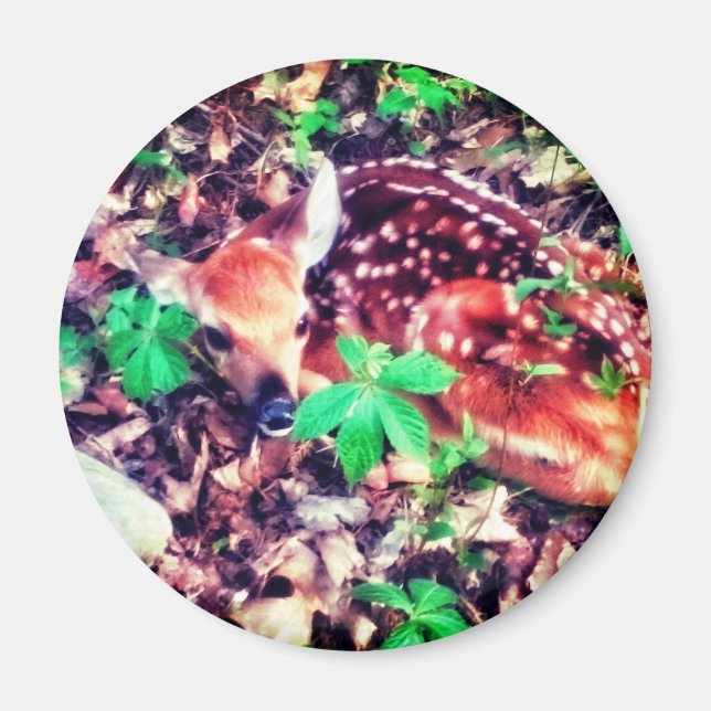ÍMAN FAWN MAGNET (Frente)
