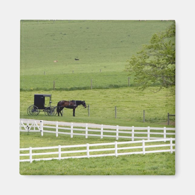 Íman Fazenda Amish com cavalo e charrete perto de Berli (Frente)