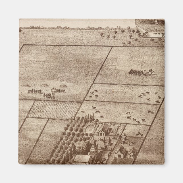 Íman Fazenda Bertch (Frente)