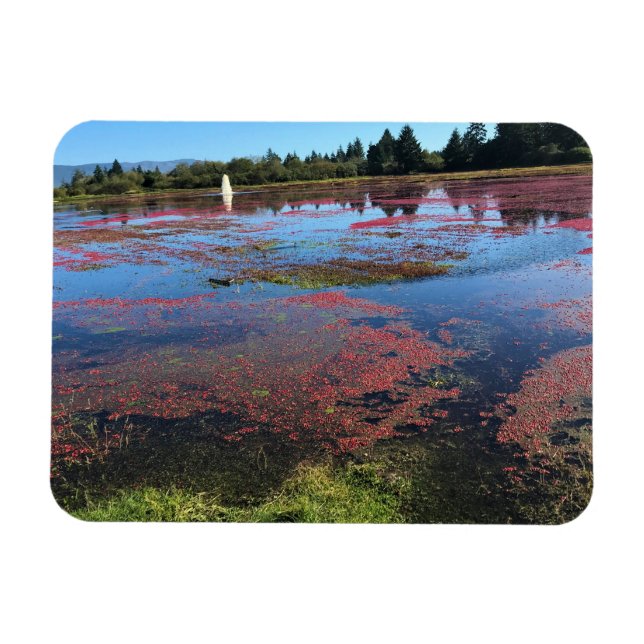 Íman Fazenda de amora, Long Beach, Washington (Horizontal)