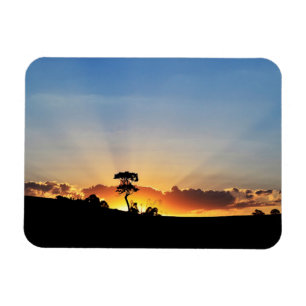 Íman Fazenda Londrina do por do sol