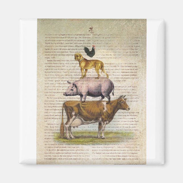 Íman FAZENDA NOB10 Suporte A1.tif (Frente)