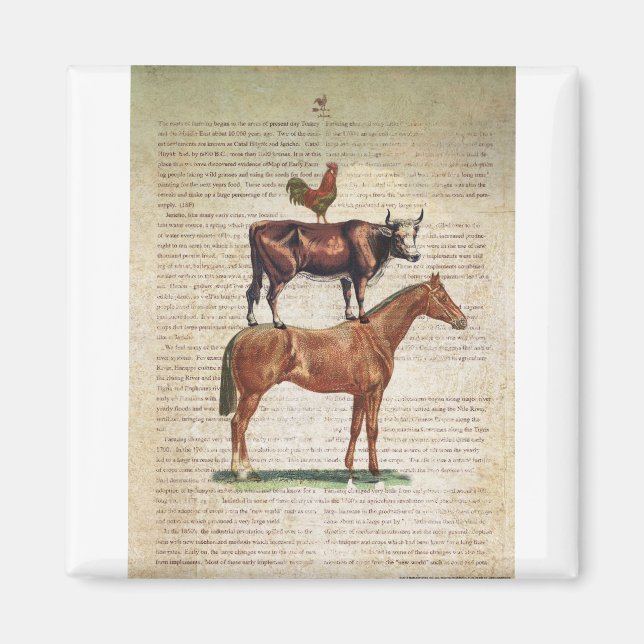 Íman FAZENDA NOB12 suporte C1.tif (Frente)