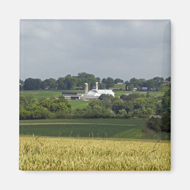 Íman Fazenda rural (Frente)