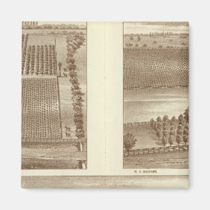 Íman Fazendas de Lemoore