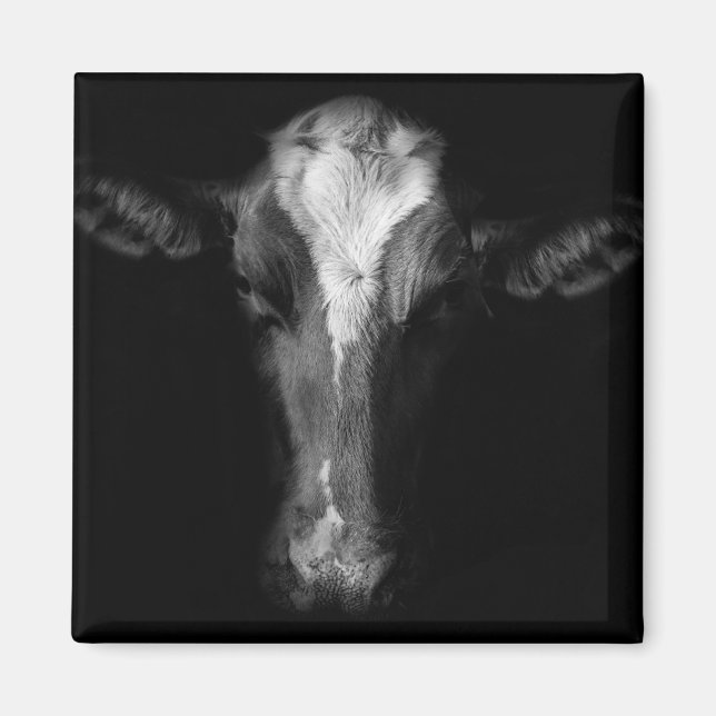 Íman Fazendas | Foto Da Cabeça De Vaca B&W (Frente)