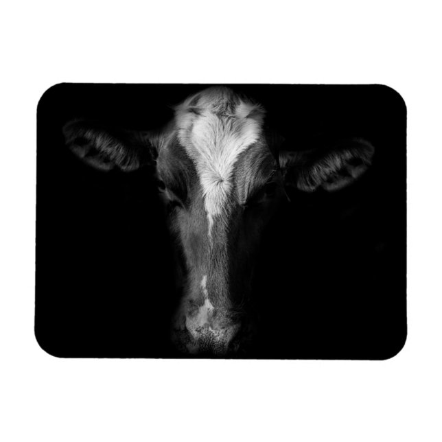 Íman Fazendas | Foto Da Cabeça De Vaca B&W (Horizontal)