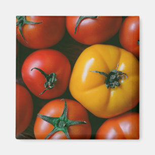 Íman Fazendas Tomates vermelhos e amarelos brilhantes