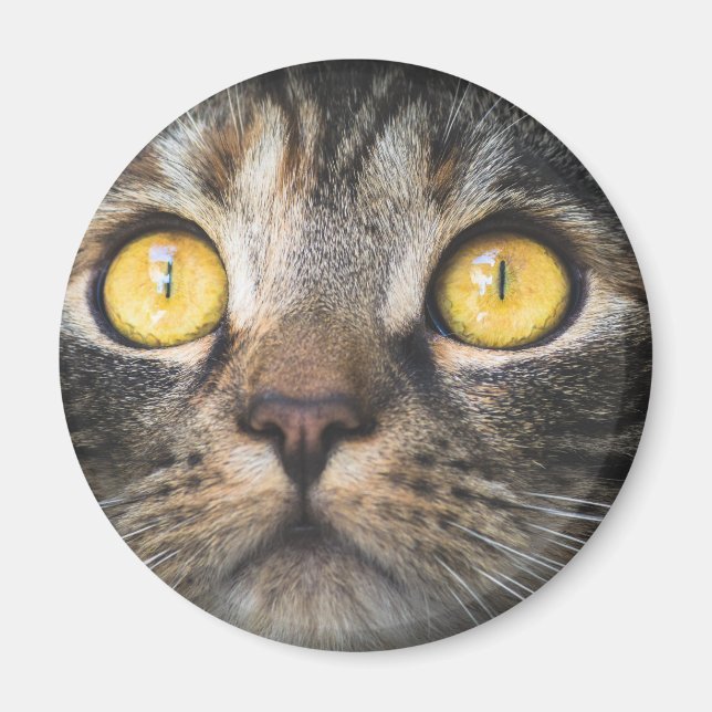 Íman Fechamento de Gato com Olhos Amarelos (Frente)