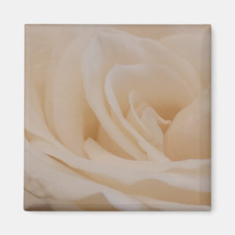 Íman Fechamento de Rosa de Creme Colorido