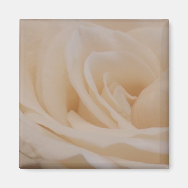 Íman Fechamento de Rosa de Creme Colorido (Frente)