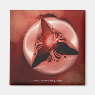 Íman Feche acima da vista da válvula tricuspid no