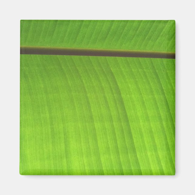 Íman Fecho de Banana Leaf (Frente)