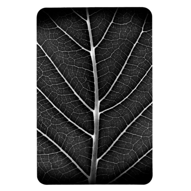Íman Fecho de folhas brilhantes a preto e branco (Vertical)