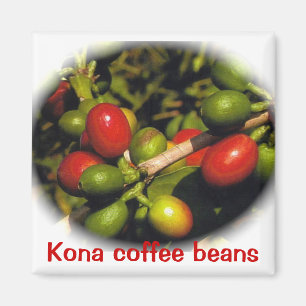 Íman Feijões de café de Kona