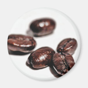 Íman Feijões de café disparados em meu estúdio novo