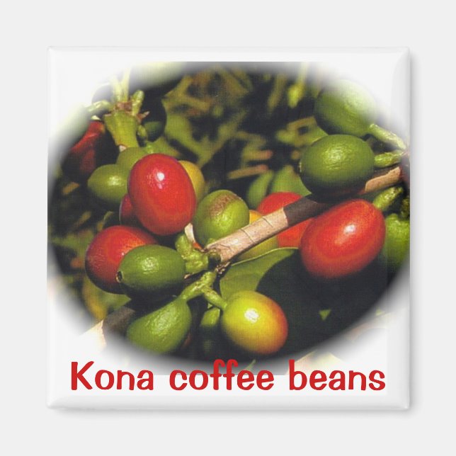 Íman Feijões de café Kona (Frente)