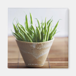 Íman Feijões verdes no pote na superfície de bambu