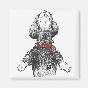 Íman Felicidade de Havanese - filhote de cachorro da