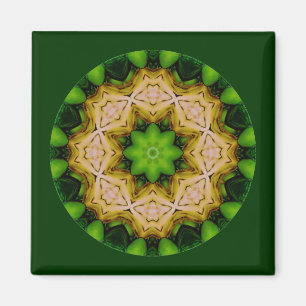 Íman Felicidade e feriados_