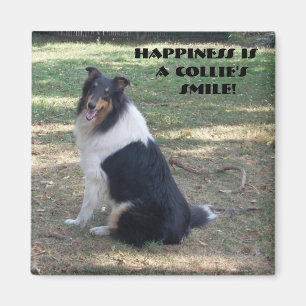 Íman Felicidade é o sorriso de Collie