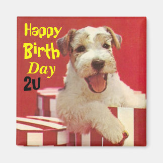 Íman Feliz aniversário