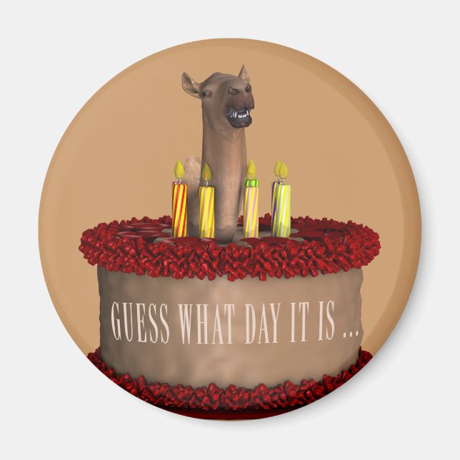 Íman Feliz Aniversário Engraçado Camel (Frente)