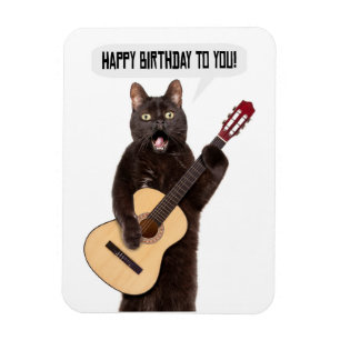 Íman Feliz Aniversário Gato Cantando e Tocando Guitarr