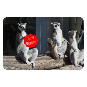 Íman Feliz Aniversário Katta