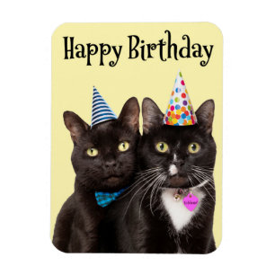 Íman Feliz Aniversário Para Qualquer Um Dois Gatos Em C