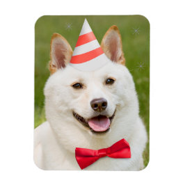 Íman Feliz Aniversário, Qualquer Um Shiba Inu Cachorro 