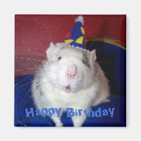 Feliz Aniversário Rat Magnet
