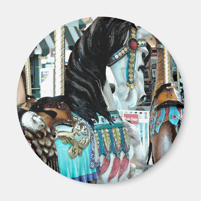 Íman Feliz de Aquarela-Cavalo Redondo (Frente)