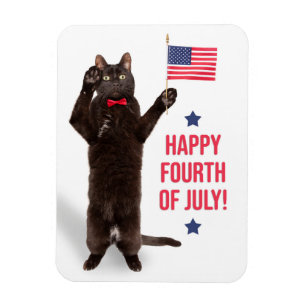 Íman Feliz Dia 4 de julho, Cite Cat Holding Bandeira Fe