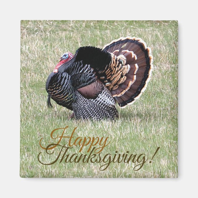 Íman Feliz Dia de Ação de Graças Wild Turkey Magnet (Frente)