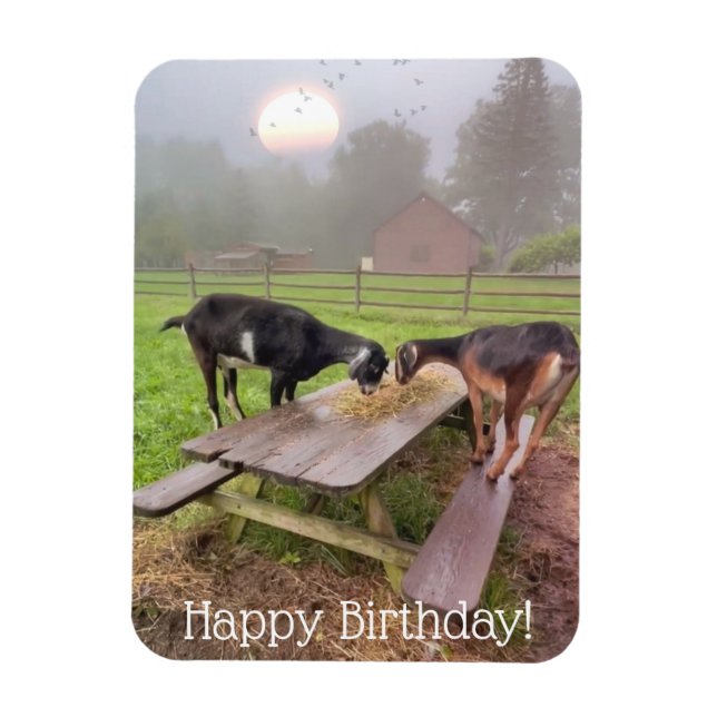 Íman Feliz Dia de Aniversário do Sunset Goats (Vertical)