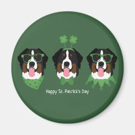 Íman Feliz Dia de São Patrício Bernese Mountain Dogs